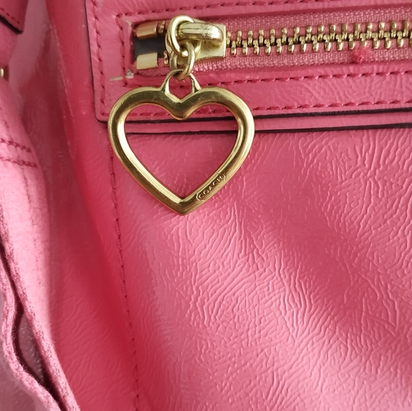 COACH Poppy Daisy liquid Gloss Hobo - Picture 3 of 17